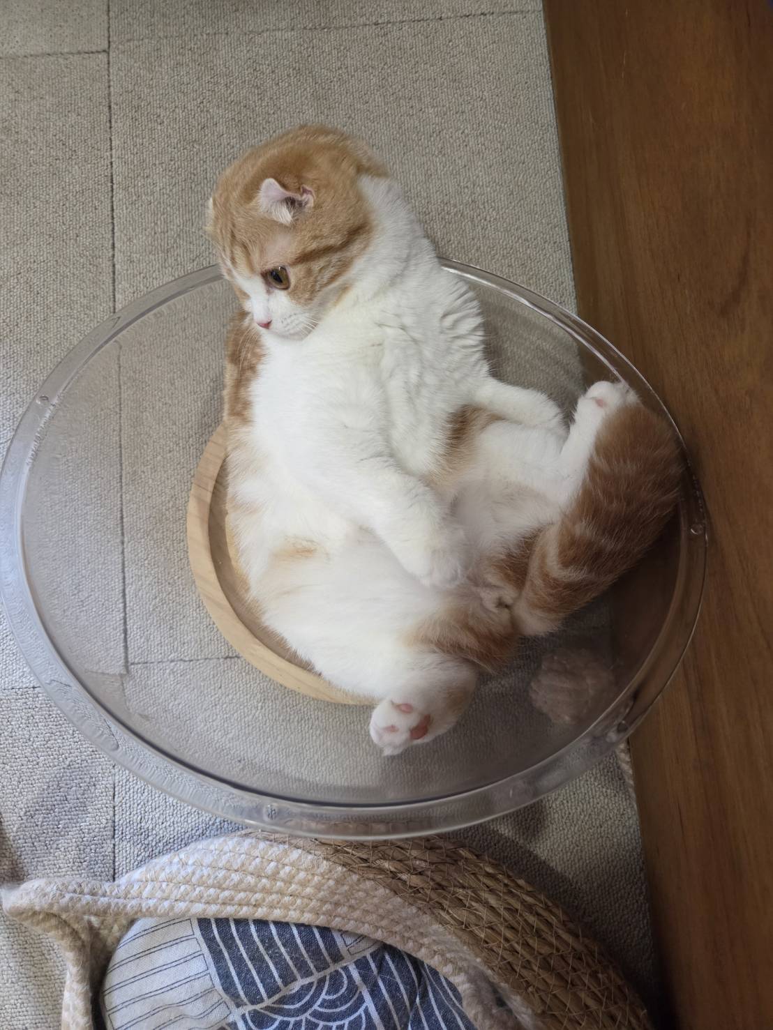 代表写真