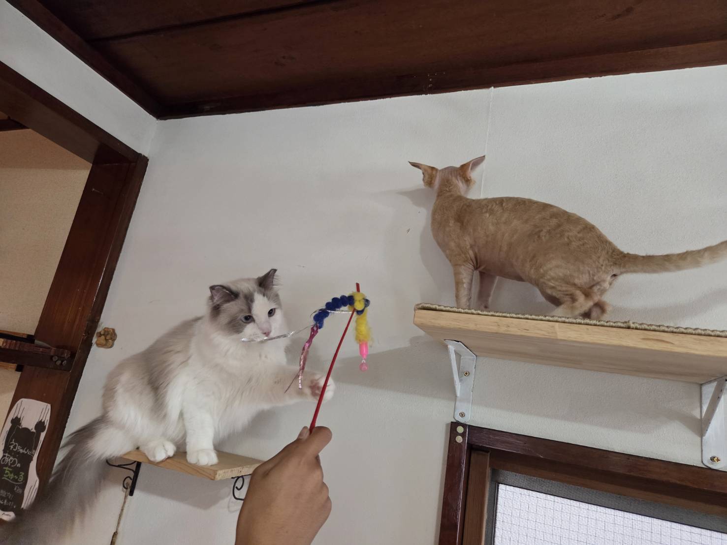 代表写真