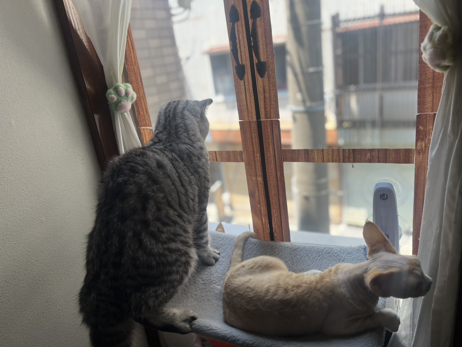 代表写真