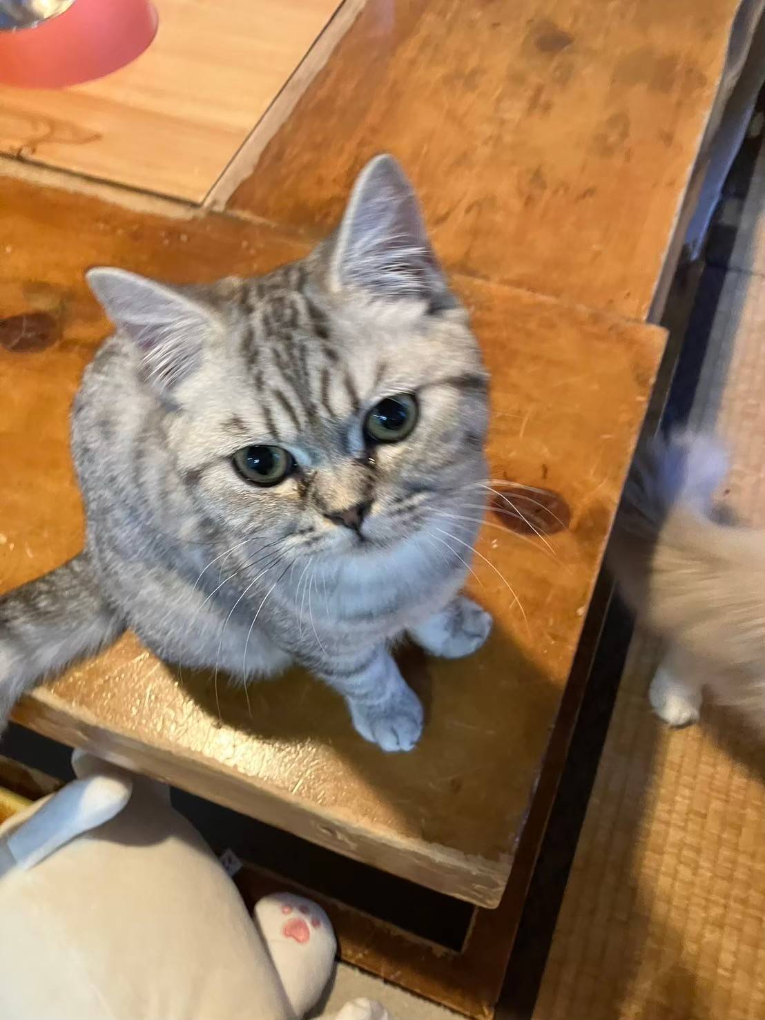代表写真