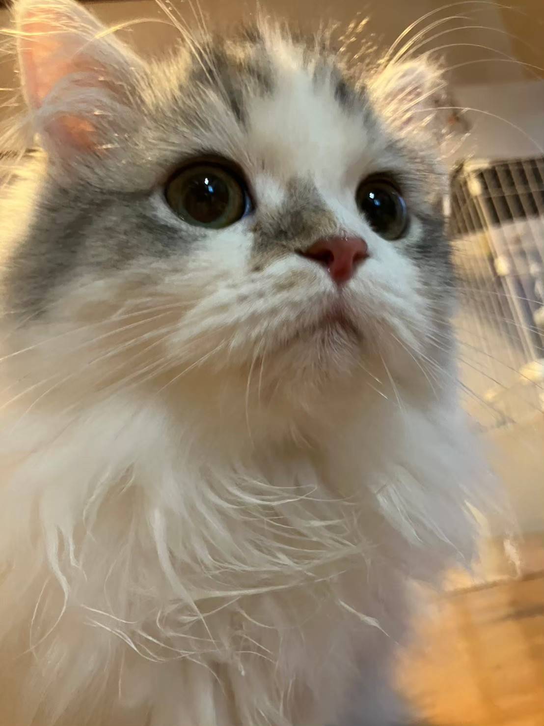 代表写真