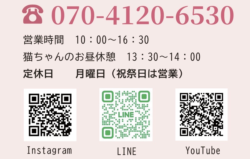お食事イメージ