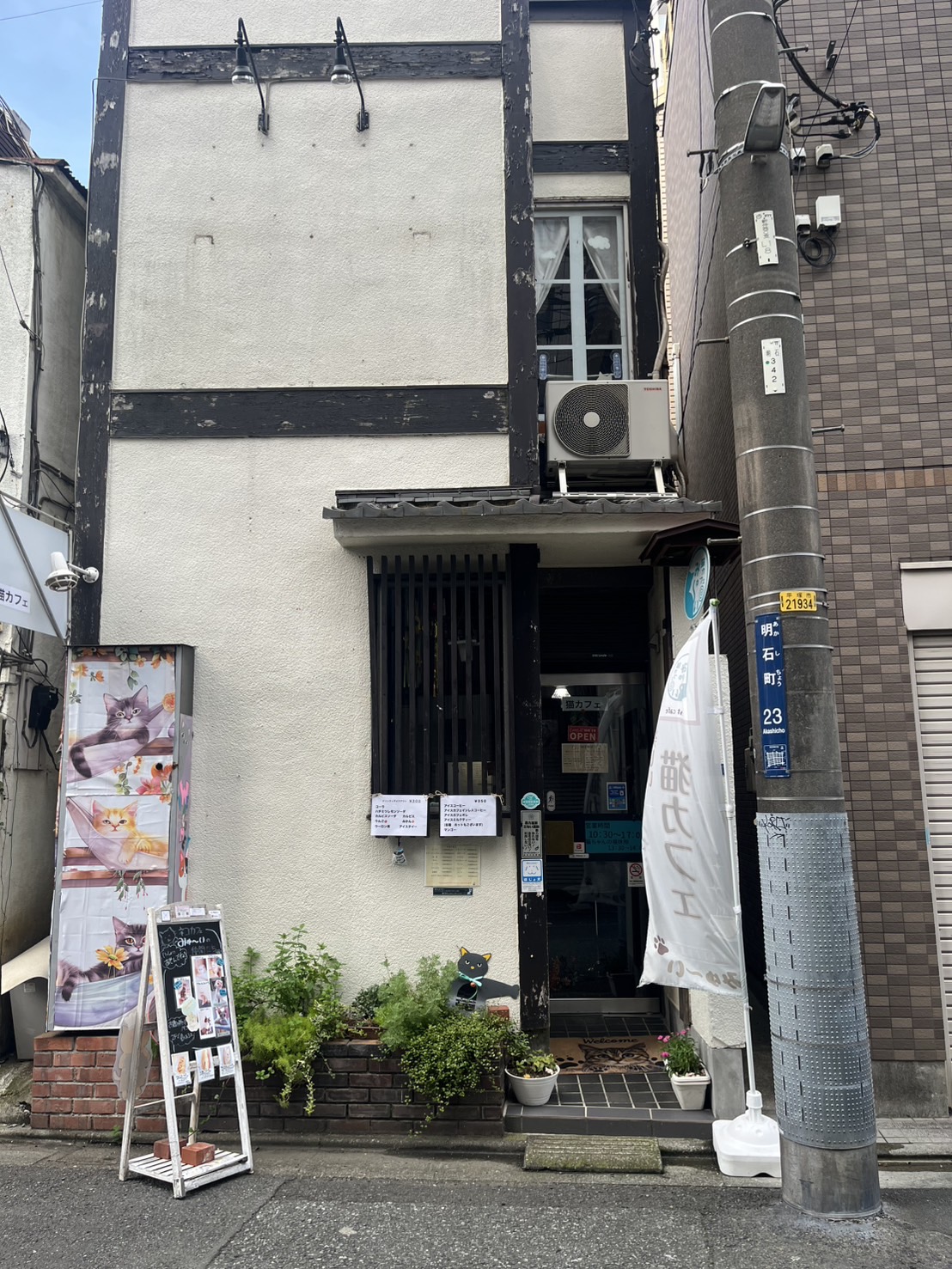 代表写真