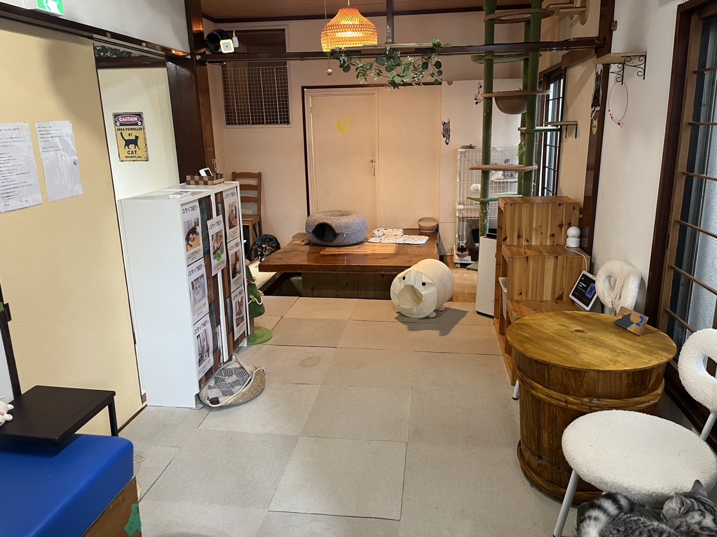 代表写真